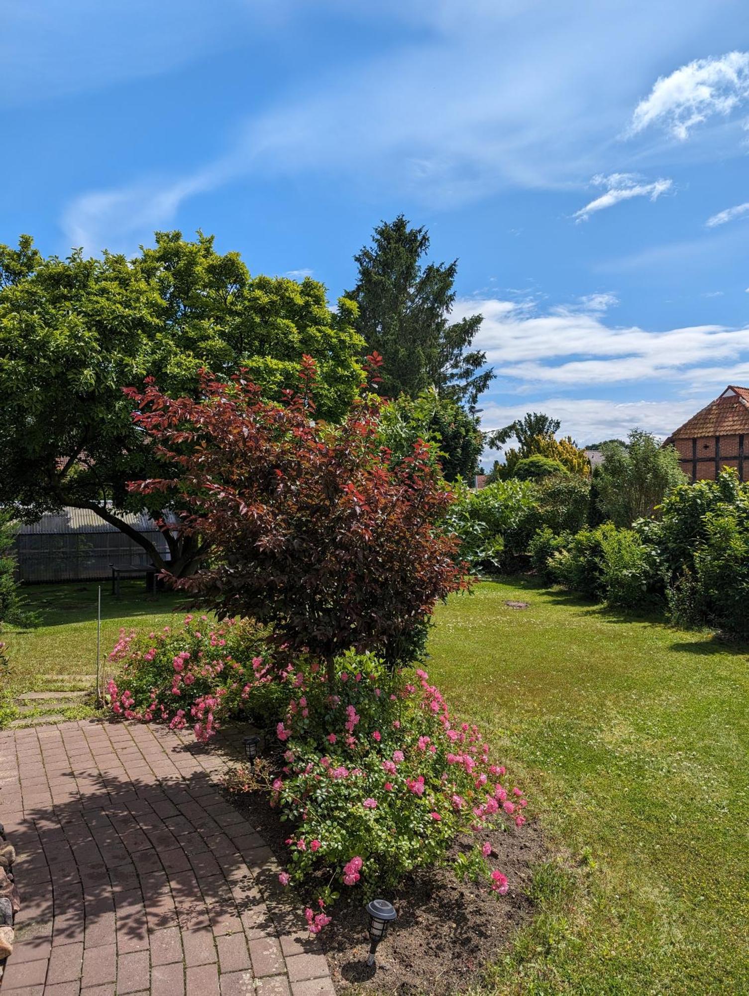 Ferienwohnung Bullersberg Balge エクステリア 写真